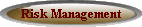 Risk Management