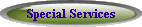 Special Services